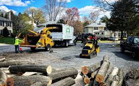 Trusted Little River, SC  Tree Services Experts